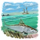 %_tempFileNameC-3185-Bonefish%